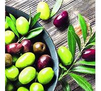 20 servilletas de aceitunas frescas, comida, frutas y verduras, 33 x 33 cm.