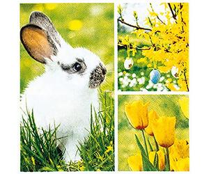 20 servilletas de cóctel pequeñas collage para primavera | conejo | flores | decoración de mesa | decoupage | decoupage | decoupage | decoupage | decoupage | decoupage | servillet