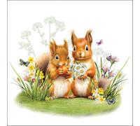 20 servilletas de papel Ambiente con diseño de ardillas pequeñas, decoración de mesa también para fiestas o decoupage, 33 x 33 cm