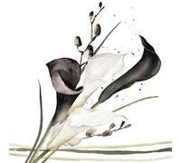 20 servilletas de papel con diseño de flores, jardín y naturaleza, color blanco y negro, como decoración de mesa, servilletas de papel con diseño. También para decoupage y decoupage (33 x 33 cm)