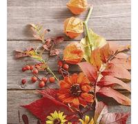20 servilletas de papel con diseño de frutas otoñales en hojas para decoración de mesa. Servilletas de papel con diseño. También para decoupage y decoupage (33 x 33 cm)