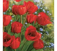 20 servilletas de tulipanes rojos en campo de flores, primavera, 33 x 33 cm