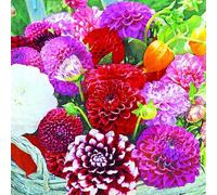 20 servilletas en cesta como decoración de mesa con flores 33 x 33 cm