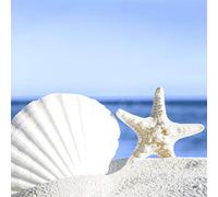 20 servilletas para el almuerzo, diseño de estrella de mar, conchas en la playa de arena, 33 cm