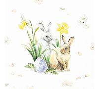 20 servilletas pequeñas de cóctel con flores de primavera, primavera, Pascua, decoración de mesa, decoupage, técnica de servilletas, 25 x 25 cm