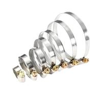 20 Unids/set Abrazaderas De Tubo Acero Inoxidable Clips Manguera Aro Tornillo Sin Fin Combustible Abrazadera Ajustable Duradera(20Pcs 10-16mm)