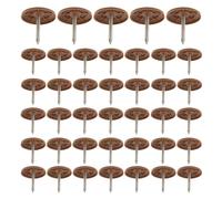 200 Piezas Clavos de Techo Tapa Plástica Redonda de 1 Pulgada | Fijación para Paneles de Espuma y Fieltro, Uso en Obra y Aislamiento, Lote de 25mm
