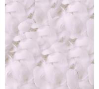 200 Piezas Plumas,Manualidades,Plumas para Vestidos de Fiesta,Avestruz,Plumas para Tocados,para Decoración del Hogar,Disfraces Hats,Bodas y Proyectos de Bricolaje,7 Hasta 12 cm de Largo(Blanco)