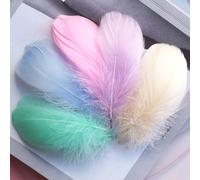 200 Piezas Plumas para Manualidades 7-13 cm Plumas de Ganso Naturales Plumas Colorida Adornos de Fantasía Plumas Grandes para Manualidades Rellenos de Cajas de Regalo Decoración Atrapasueños (Style C)