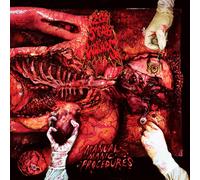 200 Stab Wounds - Manual Manic Procedures [Vinilo]