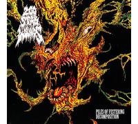 200 Stab Wounds - Piles of Festering Decomposition [Vinilo]