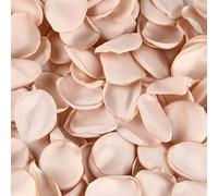 200 Uds. Rosas Seda Artificiales Rosa Azul Bianco Sporco Boda