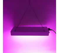 2000W Full Spectrum LED Grow Light Grow Lights for Indoor Plant Light with Double Switch and 3 Gears for Veg and Flower 100 277V