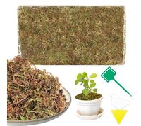 200g Musgo Sphagnum Musgo, Musgo para Orquideas, Sphagnum Moss con 10 Trampa Moscas, Sustrato para Orquídeas, Soporte Plantas,Bonsai,Reptiles,Decoración