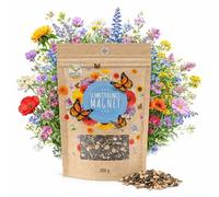 200g Semillas de pradera para mariposas para una colorida pradera de flores - mezcla de semillas de flores silvestres ricas en néctar para mariposas