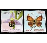 2020 Armenia Flora e Fauna - Farfalle