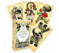 2020 The Antique Anatomy Tarot baraja de 78 Cartas, inglés Completo, adivinación del Destino, Juego de Mesa de reunión Familiar, baraja de Cartas de Entretenimiento