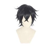 2022 Cos Wig Anime The Rising of The Shield Hero Pelucas Cosplay Naofumi Iwatani Cosplay Peluca sintética resistente al calor peluca de pelo para fiesta de Halloween