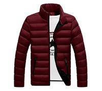 2023 Chaqueta Hombre Acolchada Otoño Invierno Abrigo Ligera Moda Casual Suelto Algodón cuello alto béisbol Chaqueta bomber cremallera plumas Cardigan cálidas Outwear Tops Talla grande Jacket