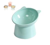 2024 New Ergonomic Cat Bowl, 45° Tilted Raised Cat Food Bowls, Whisker Friendly, Anti Vomit Cat Bowls for Indoor Cats and Small Dogs (Blue)