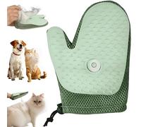 2025 New All-in-One Grooming Mist Glove for Pets, guante de vapor y spray antiestático de doble cara para gatos y perros, depilación, masajes y eliminación de pelaje (verde)