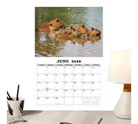 2026-2027 Cute Otters Wall Calendar - Creative Animal Styłe English Calendar | 12-Month Planner For Students, Teachers, Ofice, Study, Bedroom, Classroom, Studio & Home Decor