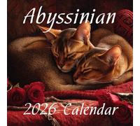 2026 Abyssinian Cat Calendar: Elegant, Ticked-Coat Companions Month by Month: Compact Square Design for Home or Office • Perfect Gift for Cats Lovers