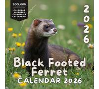 2026 Black-Footed Ferret Calendar: Endangered Predator of the Great Plains