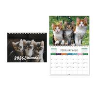 2026 Calendar, Funny Cat Wall Planner 11.22 x 8.46 x 0.31 inches, 12-Month Monthly Organizer with Thick Paper for School Desk Kitchen Living Room Apartment Bedroom Hotel Daily Schedule Planning