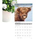 2026 Calendars Wall - Cow-Themed Monthly Agenda Planner, 2026 Monthly Wall Calendar, Cute Farm Animal Calendar Display, Organizational Planning and Schedule Tracker, for Bedroom School Traveling