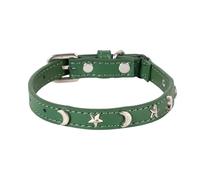 2026 Collar de gato adecuado para niños y niñas con banda elástica, estrella luna, hebilla ajustable, collar adecuado para gatos pequeños y grandes, tamaño 20,3 - 30,5 cm (verde, 27,5 cm)