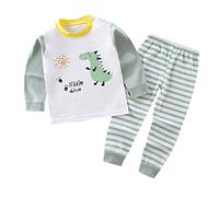 2026 - Conjunto de pijama para niños y niñas, animales de dinosaurio, algodón, 2 piezas, tren para niños pequeños, ropa de dormir de dibujos animados, trajes de otoño