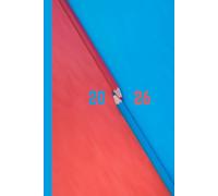 2026 Daily Diary | Premium Hardcover Book for Tracking Goals & Habits | Productivity Diary with modern Two- tone cover | with 365 pages