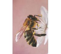 2026 Diary with Bee on Blossom artwork by Sally Sturgess Pet Portraits & Wildlife Art. Week per page with UK holidays, pagan festivals and moon ... 5.75 inches (approx A5). Supports a UK artist