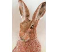 2026 hard back Diary with Hare artwork by Sally Sturgess Pet Portraits & Wildlife Art. Week per page with UK holidays, pagan festivals and moon ... 5.75 inches (approx A5). Supports a UK artist