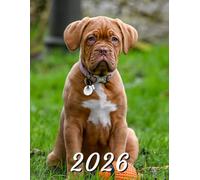 2026: Large Monthly Calendar Planner - Dogue De Bordeaux Dog