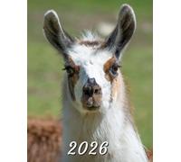 2026: Large Monthly Calendar Planner - Llama