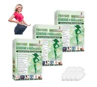 2026 New Upgraded Style Moringa 10-en-1 Nano Microdarts Paratch, Advanced Moringa Parches, Natural Body Parches for Women and Men - Gentle Formula for All Skin 3PCS