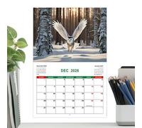 2026 Owl Calendar Planner, Animal Theme Organizer, Jan-dec Wall Scheduler, Decorative Monthly Grid Layout, Owl Print for Workplace, School, Gym, Home, Planning Scheduling