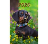 2026: Small Monthly Calendar Planner - Dachshund Dog