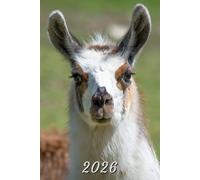2026: Small Monthly Calendar Planner - Llama
