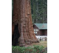 2026: Small Monthly Calendar Planner - Sequoia National Park