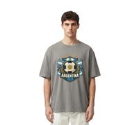 2026 W-M 4 Estrellas Argentina Ganar Conmemorativo Camiseta de Fútbol Verano 100% Algodón Fiesta de Fanfeier Bandera Estampado Hombre Mujer Fan Camiseta Fiesta Fútbol Cheer On Camisetas, Gris 8#, XXL
