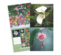 2026 Wall Calendar, Monthly Flower Theme Calendar, Hangable 12-Month Planner with Large Grid Blocks for Scheduling and Organization in Office Bedroom Classroom Living Room, 28x28cm