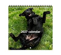 2027 Calendar Wall - 8.27 Inches, Paper, Funny Dog Designs