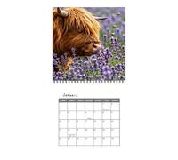 2027 Cows Calendar - Offices Wall Calendar Spiral Cow Yearly Writing