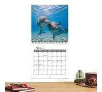2027 Dolphin Calendar, Sea Animal Photos, Whole Year Monthly Planner | Classroom accessory, dolphin calendar 2027, sea animal photos, whole year monthly planner for organized student and teacher r