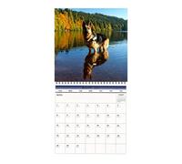 2027 German Shepherd Calendar, Monthly Wall For Home/office