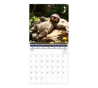 2027 Monthly Sloth Calendar Animal Schedule Organizer Wall Decor