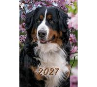 2027: Small Monthly Calendar Planner - Bernese Mountain Dog